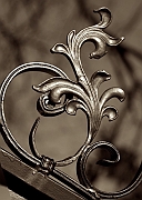 Wall_Art_Alphabet_Photography_Art_ 1098